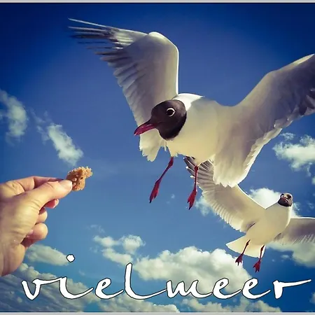 Strandhaus Vielmeer - Exklusiv Mit Sauna & Kamin Direkt Am