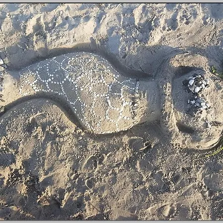 Σπίτι διακοπών Strandhaus Vielmeer - Exklusiv Mit Sauna & Kamin Direkt Am Dranske