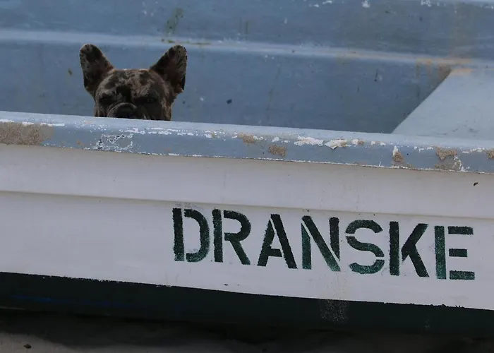 Strandhaus Vielmeer - Exklusiv Mit Sauna & Kamin Direkt Am