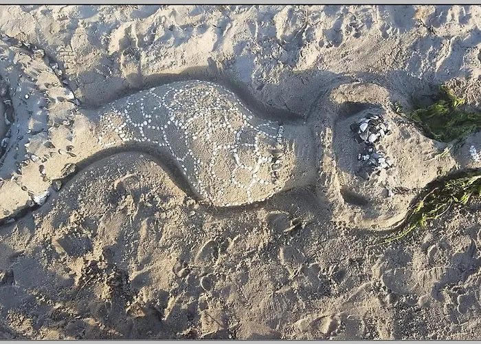 Сasa de vacaciones Strandhaus Vielmeer - Exklusiv Mit Sauna & Kamin Direkt Am Dranske